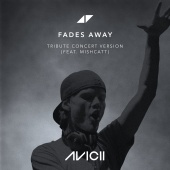Avicii - Fades Away (feat. MishCatt) [Tribute Concert Version]