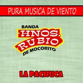 Banda Hnos. Rubio de Mocorito - La Pachuca