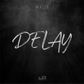 Walid - Delay