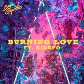 Big Gigantic - Burning Love