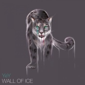 YėY - Wall of Ice