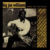 Big Joe Williams - These Are My Blues [Live]