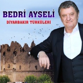 Bedri Ayseli - Diyarbakır Türküleri