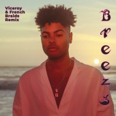 Tate Tucker - Breezy ( Viceroy & French Braids Remix )