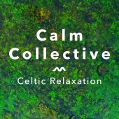 Calm Collective - The Mist Of Time Pt. 2