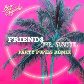 Big Gigantic - Friends ( Party Pupils Remix )