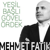 Mehmet Fatih - Yeşil Başlı Gövel Ördek