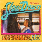 Skip Marley - Slow Down (feat. H.E.R.) [P2J Remix]