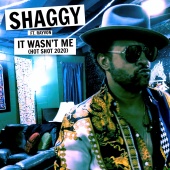 Shaggy - It Wasn't Me (Hot Shot 2020) (feat. Rayvon)