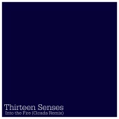 Thirteen Senses - Into The Fire [Cicada Remix]