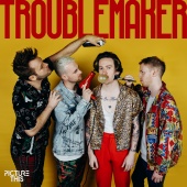 Picture This - Troublemaker