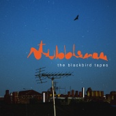 Stubbleman - The Blackbird Tapes
