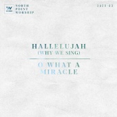 North Point Worship - Hallelujah (Why We Sing) / O What A Miracle