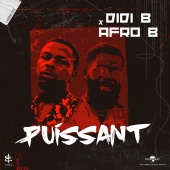 Didi B & Afro B - Puissant