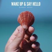 Danny Aridi - Wake Up & Say Hello