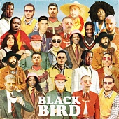 DJ Elite - Blackbird