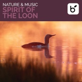 Brian Hardin - Nature & Music: Spirit Of The Loon