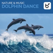 Brian Hardin - Nature & Music: Dolphin Dance
