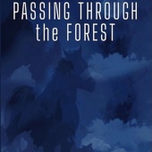 Mayki MUrat Başaran - Passing Through The Forest (Original Movie Soundtracks)