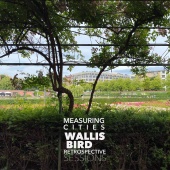Wallis Bird - Measuring Cities (Retrospective Sessions)