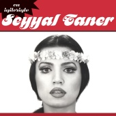Seyyal Taner - En İyileriyle Seyyal Taner