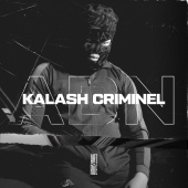 Kalash Criminel - ADN (Extrait du projet Art de rue)