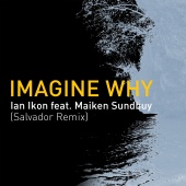 Ian Ikon - Imagine Why (feat. Maiken Sundby) [Salvador Remix]