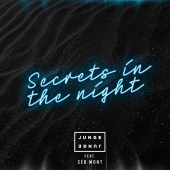 Junge Junge - Secrets In The Night (feat. Séb Mont)