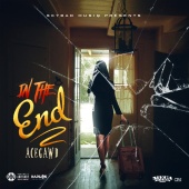 Acegawd - In the End