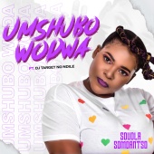 Sdudla Somdantso - Umshubo Wodwa (feat. DJ Target, Ndile)