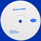 Sylvan Esso - Ferris Wheel (feat. Robert Glasper) [Terrace Martin Remix]