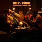 Zwangere Guy - Guy - Funk (feat. Selah Sue, Darrell Cole)