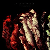 Wilson Trouvé - Encore