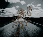 Reamonn - Serpentine [Online Version]