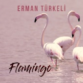 Erman Türkeli - Flamingo