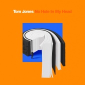 Tom Jones - No Hole In My Head [Single Edit]
