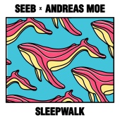 Seeb & Andreas Moe - Sleepwalk