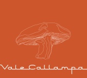 Café Tacvba - Vale Callampa