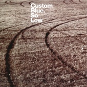 Custom Blue - So Low