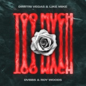Dimitri Vegas & Like Mike & DVBBS & Roy Woods - Too Much