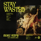 Deniz Koyu - Stay Wasted (feat. Richard Judge)