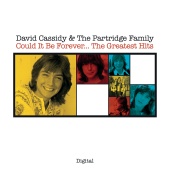 David Cassidy - Could It Be Forever...The Greatest Hits
