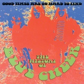 Blue Cheer - The History Of Blue Cheer: Good Times Are So Hard To Find