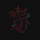 slenderbodies - heartbeat
