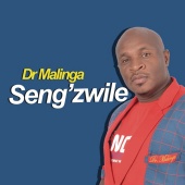 Dr Malinga - Seng'Zwile