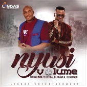 Dr Malinga - Nyusi Volume (feat. DJ Tira, DJ Ngamla, DJ Mlungu)