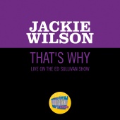 Jackie Wilson - That's Why (I Love You So) [Live On The Ed Sullivan Show, January 21, 1962]