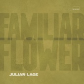 Julian Lage - Familiar Flower