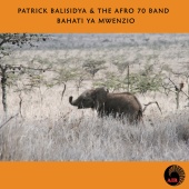 Patrick Balisidya & Afro 70 Band - Bahati Ya Mwenzio