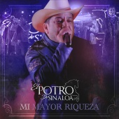 El Potro De Sinaloa - Mi Mayor Riqueza [En Vivo]